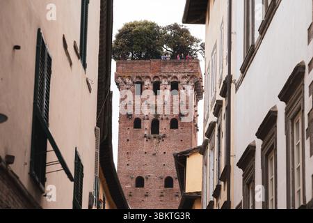 Blick auf den Guinigi-Turm in Lucca, Italien, mit Bäumen auf dem Dach. Mai 2025 Stockfoto