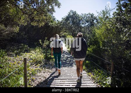 Wanderer, die auf einem hölzernen erhöhten Pfad im Waldschutzgebiet spazieren Stockfoto