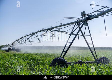 Landwirtschaftliche Drehbewässerung auf einem Maisfeld Stockfoto