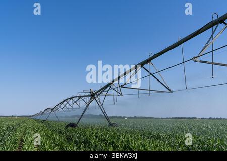 Landwirtschaftliche Drehbewässerung auf einem Maisfeld Stockfoto