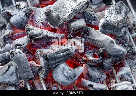 Brennende rote Kohle im Holzkohlegrill Stockfoto