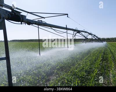 Landwirtschaftliche Drehbewässerung auf einem Maisfeld Stockfoto