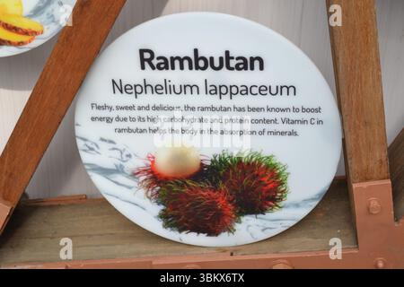 Rambutan Obsttafel mit Zeichnung, Beschreibung der Eigenschaften und Vorteile an der Außenwand des Pavillons. Früchte des asiatischen Regenwaldes. Holzrahmen. Stockfoto