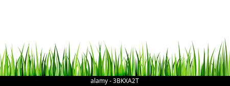 Realistisches grünes Gras nahtloser horizontaler Hintergrund. Vektorabbildung. Sommer- oder Frühlingsfeld, Rasen, Landschaftsdesign-Element Stock Vektor