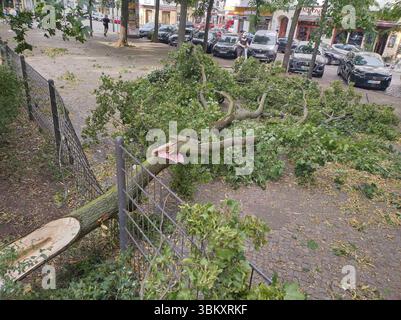 Berlin, Deutschland. Juni 2025. Ein vom Sturm gestürzter Baum liegt auf einem Gehweg am Boxhagener Platz. Nach dem heißen Wochenende verursachte ein Sturm in der Hauptstadt viel Schaden. Quelle: Anna Ross/dpa/Alamy Live News Stockfoto