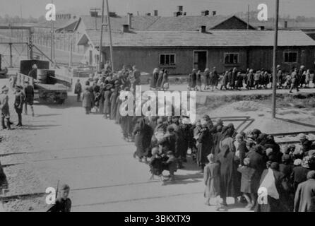 AUSCHWITZ, POLEN - Mai 1944 - Jüdische Frauen und Kinder, die zum Tode ausgewählt wurden, gehen in einer Schlange in Richtung der Gaskammern. Das Tor nach oben Stockfoto