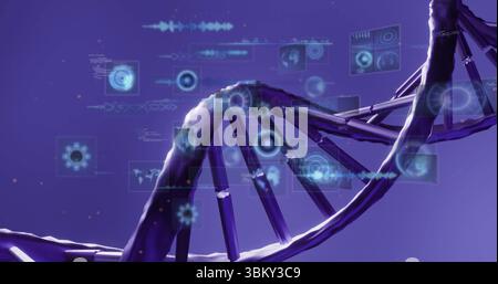 Verdrehte DNA-Helix im Labor mit schwebenden Feldern mit Diagrammen, Wellenformen, Molekülsymbolen und Kartensymbolen Stockfoto