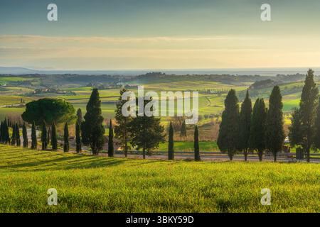 Landschaft bei Sonnenuntergang in der Maremma. Sanfte Hügel, Zypressen entlang der Straße nach Casale Marittimo und Meer im Hintergrund. Provinz Pisa, Toskana Stockfoto