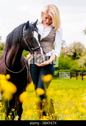 Eine Frau in weißem Hemd und karierter Weste steht auf einem Feld aus gelben Blumen und hält den Kopf eines schwarzen Pferdes. Das Pferd trägt einen Zaumzeug. Stockfoto