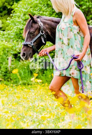 Eine Frau in einem Blumenkleid führt ein Pferd durch ein Feld aus gelben Blumen. Stockfoto