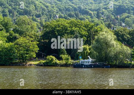 Usti nad Labem, Tschechische Republik - 22. Juni 2025: Malerischer Blick auf die Elbe mit üppigem Grün und Boot Stockfoto