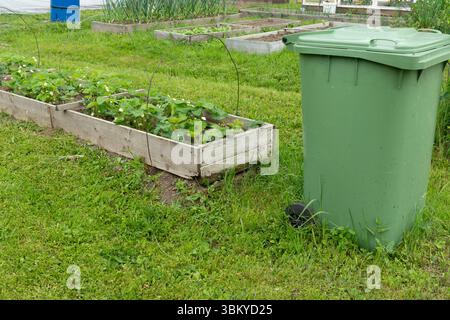 Grüner Kompostbehälter neben dem Gemüsegarten in üppiger Kleingartenanlage Stockfoto