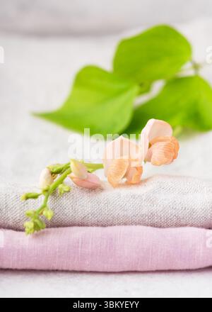 Schöne, pastellrosa, orange Läuferbohne 'Lady Di' Blume auf Leinentischdecken. Hausgemachtes Dekorationskonzept. (Phaseolus coccineus) Kopierraum. Stockfoto