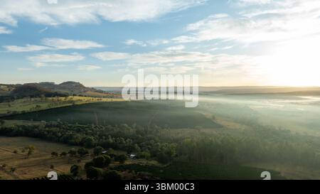 Luftaufnahme einer Kaffeeplantage im Inneren von Minas Gerais bei Sonnenaufgang Stockfoto