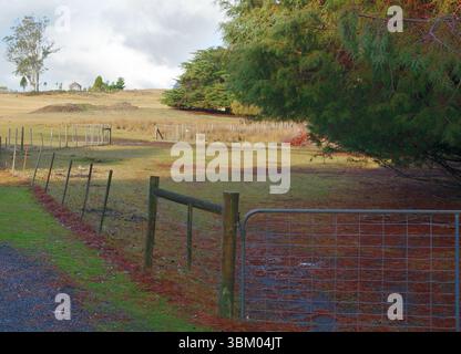Tor und Drahtzaun aus Metall in Tasmanien, mit Nadelbäumen entlang einer Seite und einer alten Hütte im Hintergrund auf einem Kamm unter einem bewölkten Himmel Stockfoto