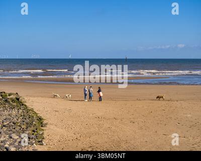 14. August 2024: Prestatyn, Denbighshire; Wales; Vereinigtes Königreich - Hundeschlittenläufer plaudern am Strand und an einem sonnigen Sommermorgen, drei Frauen mit Labrado Stockfoto