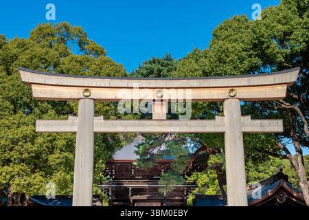 Torii-Tor führt zum Meiji Jingu-Schrein, Shibuya, Tokio, Japan Stockfoto