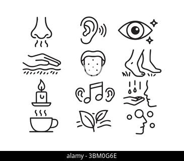 Die fünf Sinne erkunden eine illustrative Reise durch die Wahrnehmung Stock Vektor