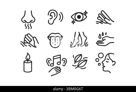 Die fünf Sinne erkunden eine illustrative Reise durch die Wahrnehmung Stock Vektor