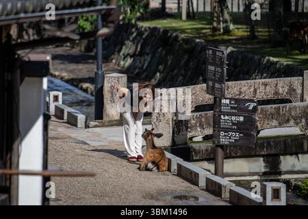 Miyajima Island vor der Küste von Hiroshima in Japan. Stockfoto