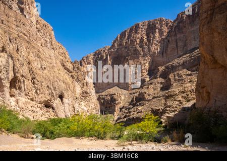 USA, Texas, Big Bend National Park. Chisos-Berge und Bäume in Blüte. Stockfoto