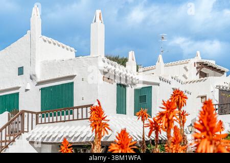 Traditionelle weiß getünchte Architektur mit leuchtenden orangefarbenen Blumen im Binibeca Vell. Menorquinisches Küstendorf, Grüne Fensterläden, Helles Sonnenlicht, Urlaub Stockfoto