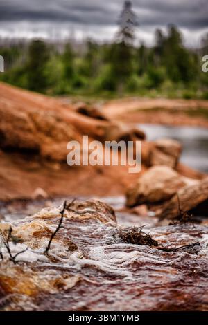 Schaumiges, schnell bewegendes Wasser fließt über rötliche Felsen und Äste mit verschwommenem Waldhintergrund. Stockfoto