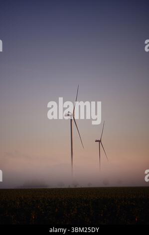 Zwei Windturbinen erheben sich während des Sonnenaufgangs über einem grünen Feld über dichten Morgennebel. Stockfoto