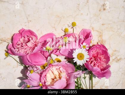 Frische rosafarbene Pfingstrosen und weiße Gänseblümchen auf einer hellen Marmoroberfläche bei hellem Sonnenlicht. Kopierbereich, Draufsicht Stockfoto