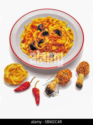 Tagliatelle-Pasta mit Morcheln-Pilzsauce, serviert auf einem weißen und roten Teller, mit rohen Zutaten wie Morcheln und getrockneten Chili-Paprika Stockfoto