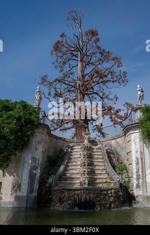 Reich gestufter Springbrunnen mit kaskadendem Wasser. Dahinter befindet sich ein Riesenmammutbaum, ein Riesenmammutbaum, Türme, die Natur mit dem eleganten Design verbinden Stockfoto