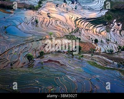 Chinas UNESCO Hani Reisterrassen, Yunnan, mit Panoramablick auf die riesigen Terrassenfelder von Samaba Yuanyang Stockfoto