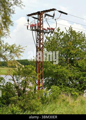 Deutschland: Ein Versorgungsmast aus rostfreiem Metall mit roten Keramikisolatoren und Stromkabeln steht in grüner Vegetation in der Nähe des Wassers auf der Insel Usedom. Stockfoto