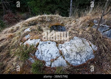 Fort Cima Lan: Betonplatzierung für Maschinengewehre. Col Perer, Arsiè, Belluno, Veneto, Italien. Stockfoto