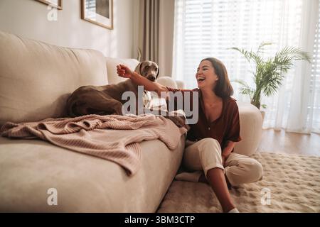 Ein freudiger Moment Eine Frau genießt die Spielzeit mit ihrem Hund im Komfort von zu Hause Stockfoto