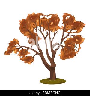 Hartholzeichenflora in der Herbstsaison. Cartoon-Vektorelement für Forstwirtschaft und Grünanlagen im Herbst. Naturrinde und Holz. Umweltschutz und Umweltschutz. Park und Wald, Wald und Wald. Botanik. Stock Vektor