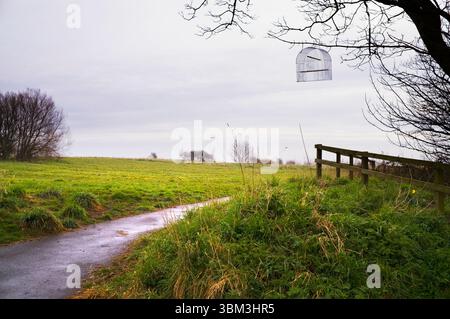 Ein Vogelkäfig aus Draht hing in einem Baum Stockfoto