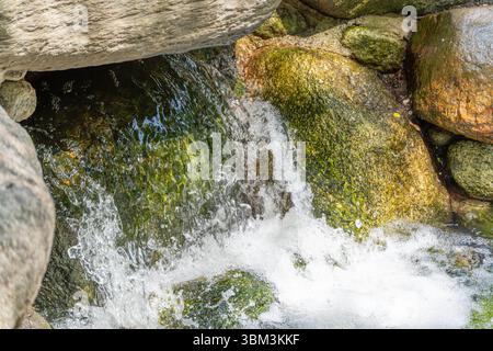 Kleiner Wasserfall zwischen Felsen. Klares Wasser sprudelt über moosigen Felsen. Der kleine Wasserfall wirkt erfrischend und lebhaft. Stockfoto