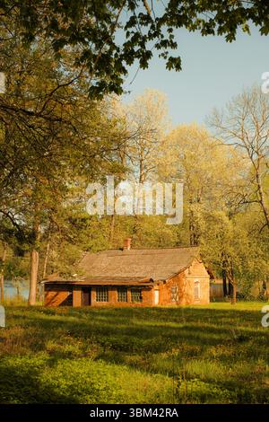 Ein verlassenes Haus aus rotem Backstein steht ruhig in einer Waldlichtung, umgeben von blühenden Frühlingsbäumen und wilden Löwenzahn. Stockfoto