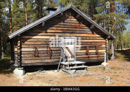 Hölzerne Waldhütte, die in einer ruhigen Lichtung steht, umgeben von Kiefern und frühem Frühlingslicht. Stockfoto