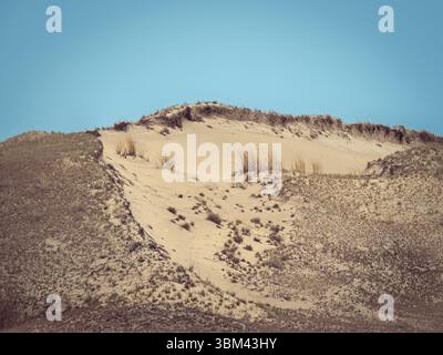 Wind-geformte Sandkräuseln und Grasbüschel auf der Dünenoberfläche schaffen abstrakte natürliche Texturen Stockfoto