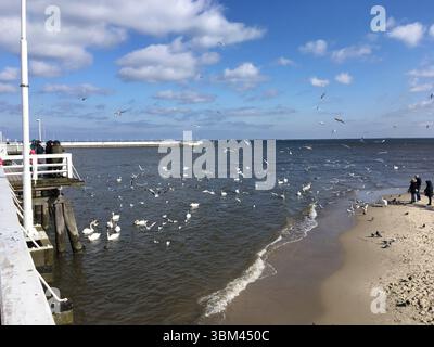 Das Stadtzentrum von Sopot und der Strand auf dem Höhepunkt des Sommers: Die Fußgängerzone Monte Cassino Straße, farbenfrohe Cafés, Europas längster Holzsteg und die lebhafte Atmosphäre Stockfoto