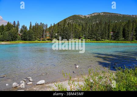 Ufer des Bow River, vom Bow Falls Trail aus gesehen, im Banff National Park, Alberta, Kanada Stockfoto