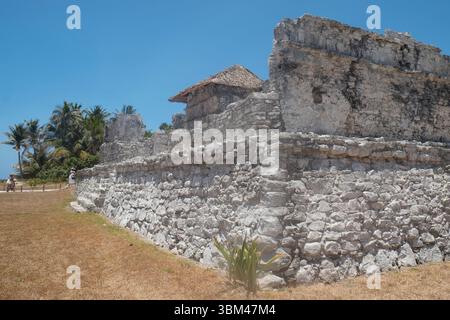 Tulum, Mexiko. Maya-Ruinen und Tempel Stockfoto