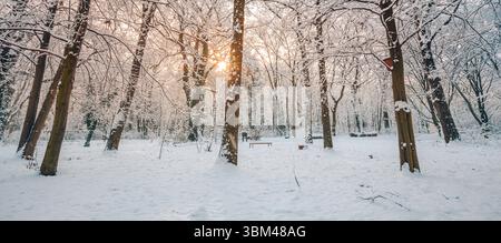 Winterwaldlandschaft Panorama mit schneebedeckten Bäumen, sanftem Sonnenlicht, ruhiger Natur, ruhiger Wald, malerischer saisonaler Hintergrund perfekt Stockfoto