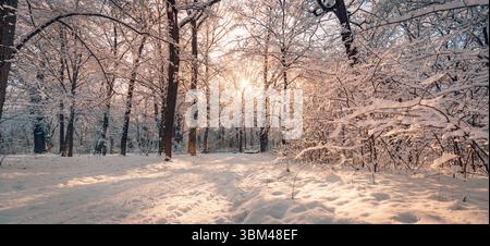 Wunderschöne Panorama Sonnenuntergang Lichtstrahlen Winterwald Landschaft schneebedeckte Wanderwege gefrorene Bäume weiß träumliche Outdoor Abenteuer fantastische Natur Wandkunst Stockfoto