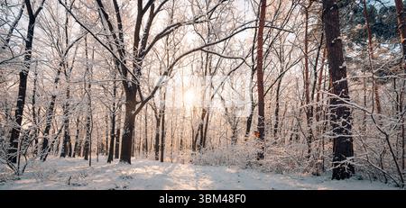 Wunderschöne Panorama Sonnenuntergang Lichtstrahlen Winterwald Landschaft schneebedeckte Wanderwege gefrorene Bäume weiß träumliche Outdoor Abenteuer fantastische Natur Wandkunst Stockfoto