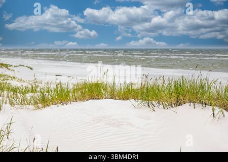 Weiße Sanddünen und Gras an der Ostsee unter blauem Himmel mit Wolken Stockfoto
