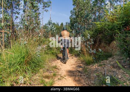 Senior Mann mit Helm und technischer Kleidung, der mit seinem E-Mountainbike auf einem Weg in einem Eukalyptuswald unterwegs ist und einen sonnigen Tag im Freien genießt Stockfoto