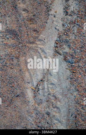 Nahaufnahme eines menschlichen Fußabdrucks in Mischsand und kleinem Kies. Natürlicher strukturierter Hintergrund mit Erdtönen, ideal für Design, Umwelt, Stockfoto